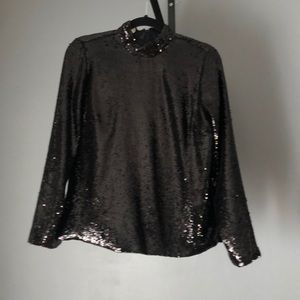 Zara NWOT Sequin top